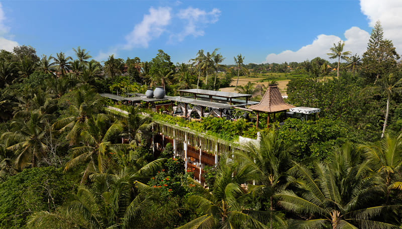 Arkamara Dijiwa Ubud photo 2