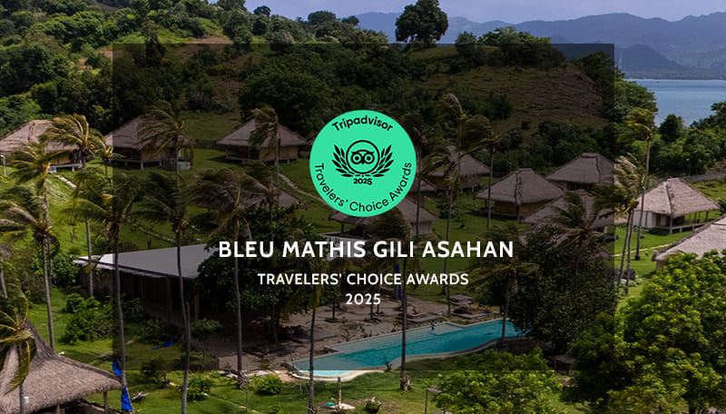 Bleu MATHIS Gili Asahan photo 3