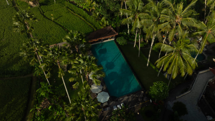 The Artini Dijiwa Ubud photo 3