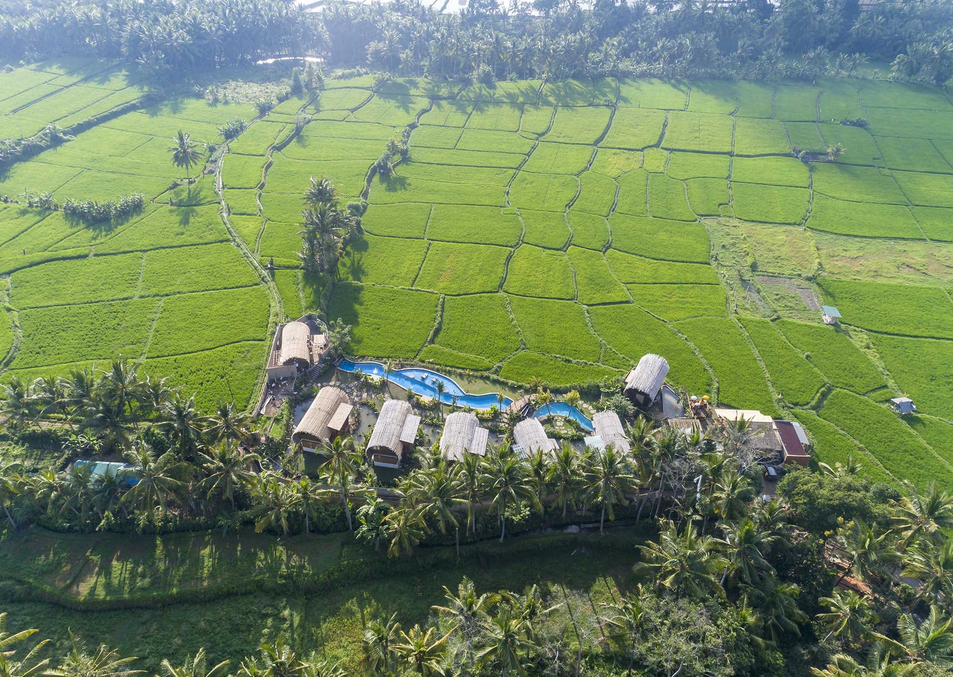 Beehouse Dijiwa Ubud photo 4